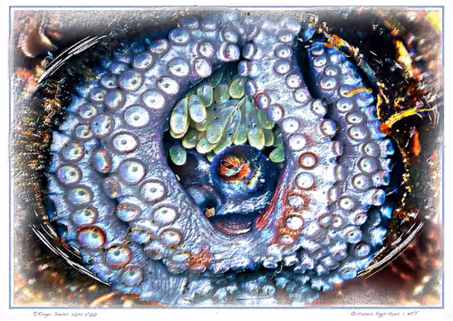 Item #113829610119937179277145653237989536661159515398728099625049874649069962395649 Media