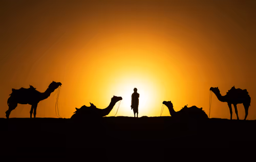 Item #70651564434180574556294947665186140658635151001431395865456628614670508359681 Media