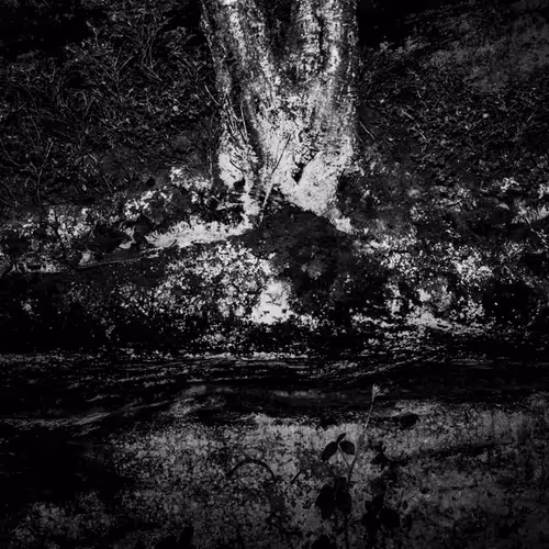 109162157552346088047496633038404394118504199992061596446112929403919547760641