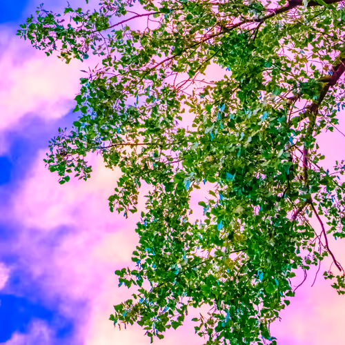 Item #35965218379738729691291467168286792303482134167127854404987491559197598810113 Media