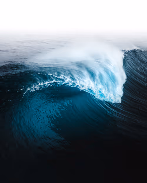 Item #83054766924673444604816267722836446190314772138657067753201581491424728186881 Media