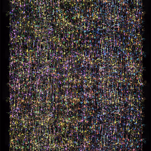 87855534987201374925371944818297600221317149567981150322417554448405814575105