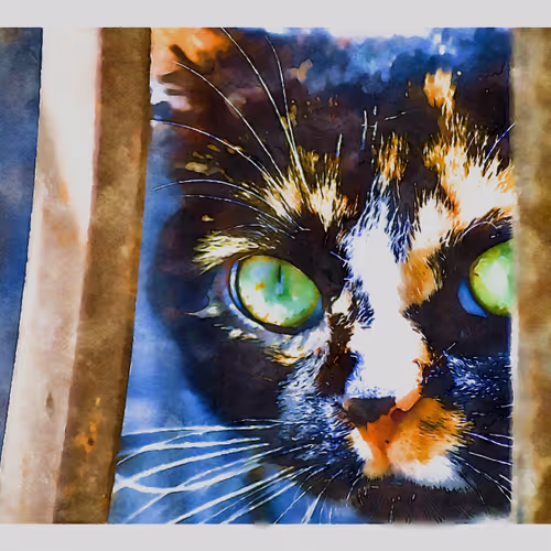 55704534837685659622621715309832868758345944585427688586690141377280948043777