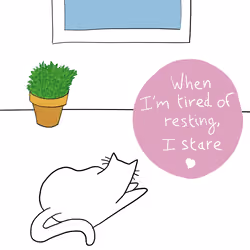 When I'm tired of resting, I stare