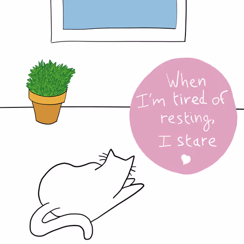 Item #84484640929577298491739762422853648584721934493634705153905291283423603720193 Media