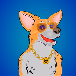 Corgo #50