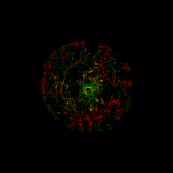 Eye #98