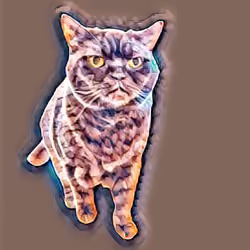 Mystic cat dragon