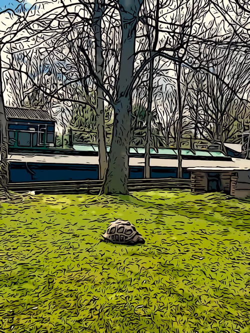 Item #83879550775161028915882403418050652989363162086131426087699803165108423622657 Media