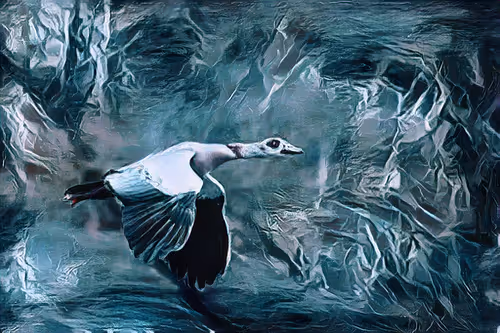 Item #1662425782654640170832190713280963699592465291637548006490664963001796263937 Media