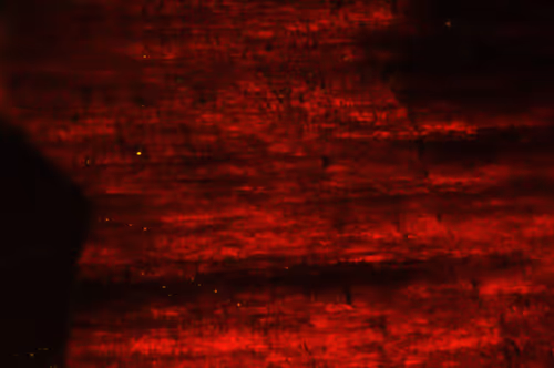 Item #21177589988234382907292029725280025606269119538694693414219510849798978666497 Media