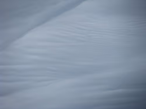 Item #52976950402654845118346719408738568385707735523303187800578383949900271321089 Media