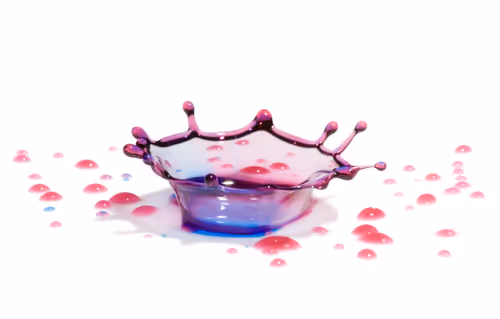 Item #85050421982695483123867570513677519131003796958833827543775578512662324051969 Media