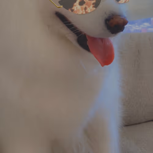 Untitled Collection #59769475