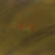 79851959273816083818256373534198073540406362946378286613726444759223499751425