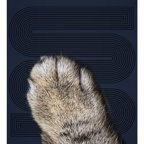 Ithinkyoushouldpaws