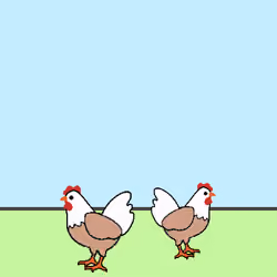 Digital Chicken Tara & Para