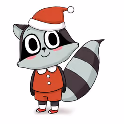 Raccoon