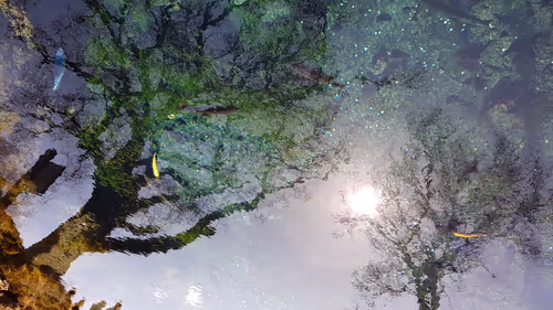 Waku pond
