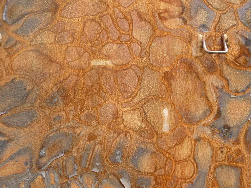 Item #48113757766326972276162939019858943574918231094005000881813397612989324984321 Media