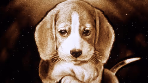 Item #64547877753568412469425259004769380681143227933510953498710243259074507440129 Media