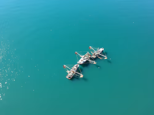 Item #80262105806551229129714372112893356952868641312806792106030804410745650937857 Media