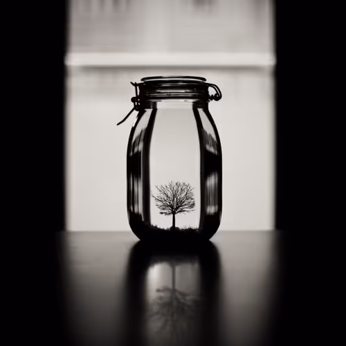 Editions By Melih Ersahin