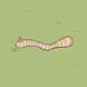 Thinking Worm