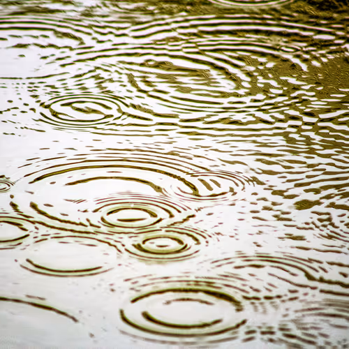 Item #110563264937173630415102547684714144673786021135482478862181301899907790012417 Media