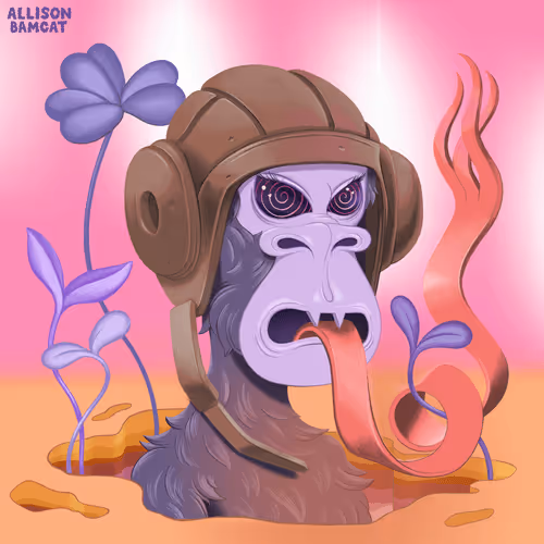 Derivatives by Bamcat