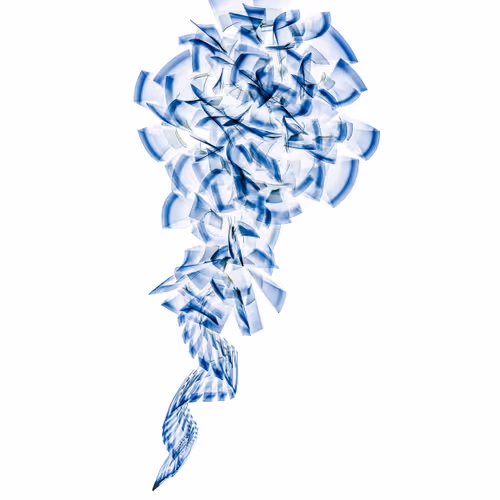 Item #105712661906430751143545401242155479756869697373743056190444192179190581166081 Media