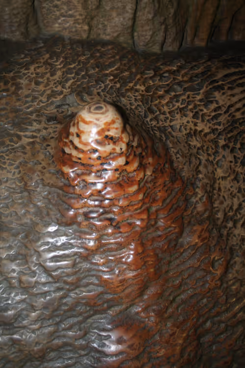 Item #65665871945595051868670140024478239542557522026765562257154831174292807352321 Media