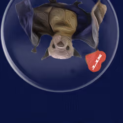 41776025324002017952572422073316458441069080831023694546850787023243431641089