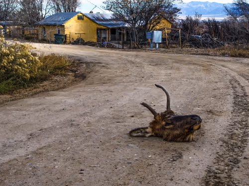 Item #69779279793312991240489662721218422936190169407892673104950858356962241806337 Media