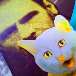 4747115153065902387790593868107453782499677024781155622119190047776032423937