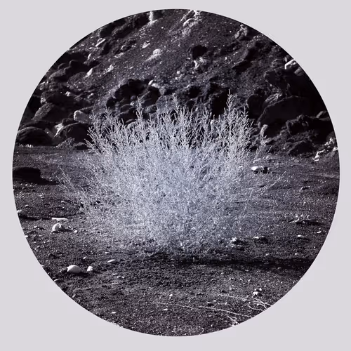 109162157552346088047496633038404394118504199992061596446112929544657036115969