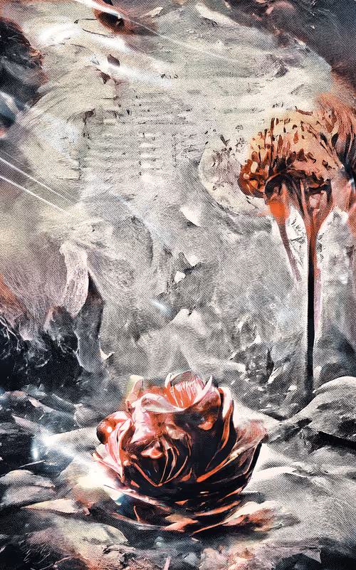 Item #42367618231883927936453209883715491979459183035932962465636822228205765132289 Media