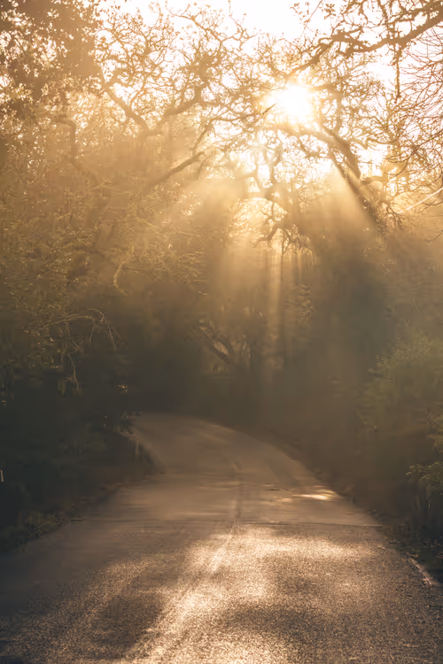 Item #99379921276153973634104125152908526548510783699959858376338453587598732427265 Media