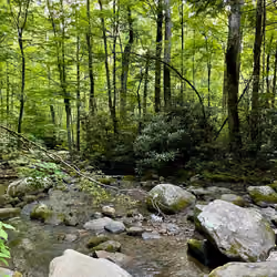 babbling brook 