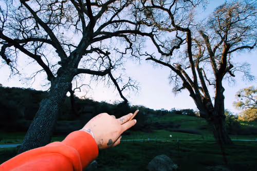 Item #73450565912043107582986494108342994017414102752882869276726541266744202231809 Media