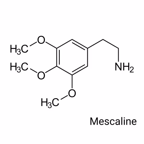 Item #64732396481221425237779336604136247156647002150051219445300180820542967775233 Media