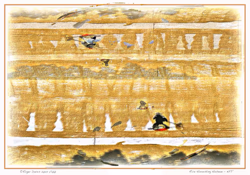 Item #113829610119937179277145653237989536661159515398728099625049874653468008906753 Media