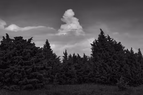 Item #81425468840217938130335513187731669853655760223415782332089084410755096248321 Media