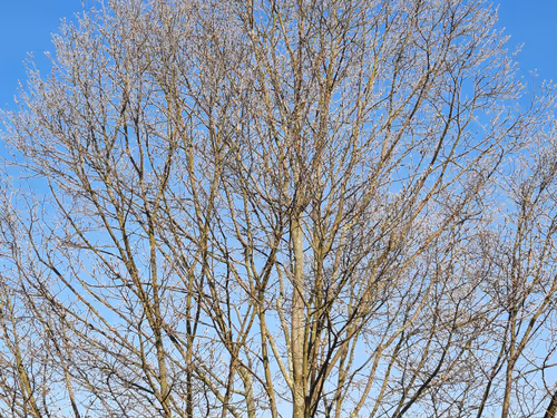 Item #13665938074563914331498291329920780757136253607588816979915017124380483256321 Media