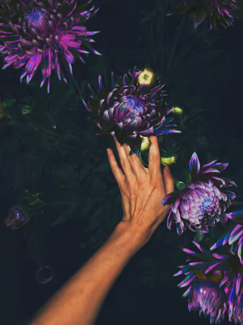 Item #105924481646022104202360070584304427471274117198947275796894307094059552866305 Media
