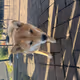 35269128932634137103618031001197649403573895674890979851227654941073746165761