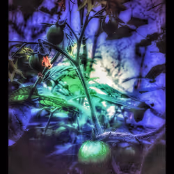 3787080761074609709675817509753112159059746763483256848434353586383710322693