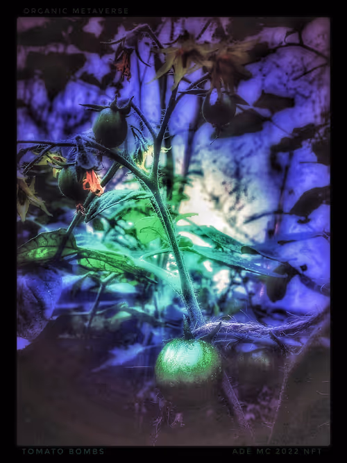 Item #3787080761074609709675817509753112159059746763483256848434353586383710322693 Media