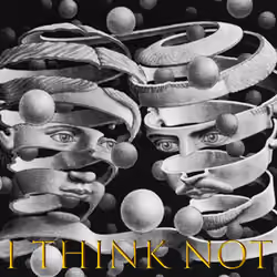 I Think Not
