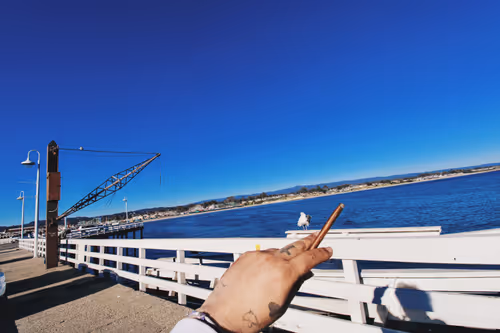 Item #73450565912043107582986494108342994017414102752882869276726541264545178976257 Media